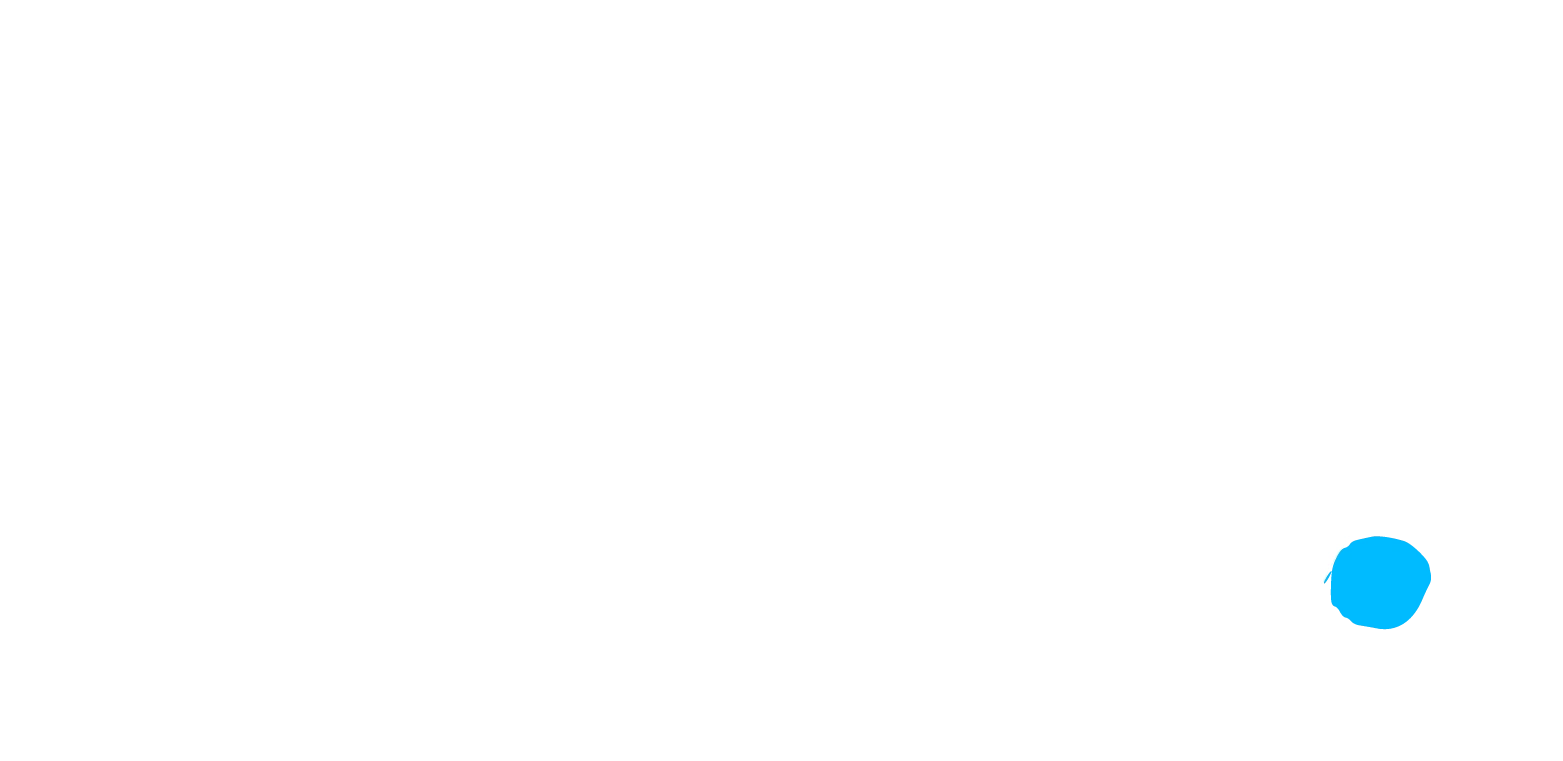 Steynd Custom Apparel